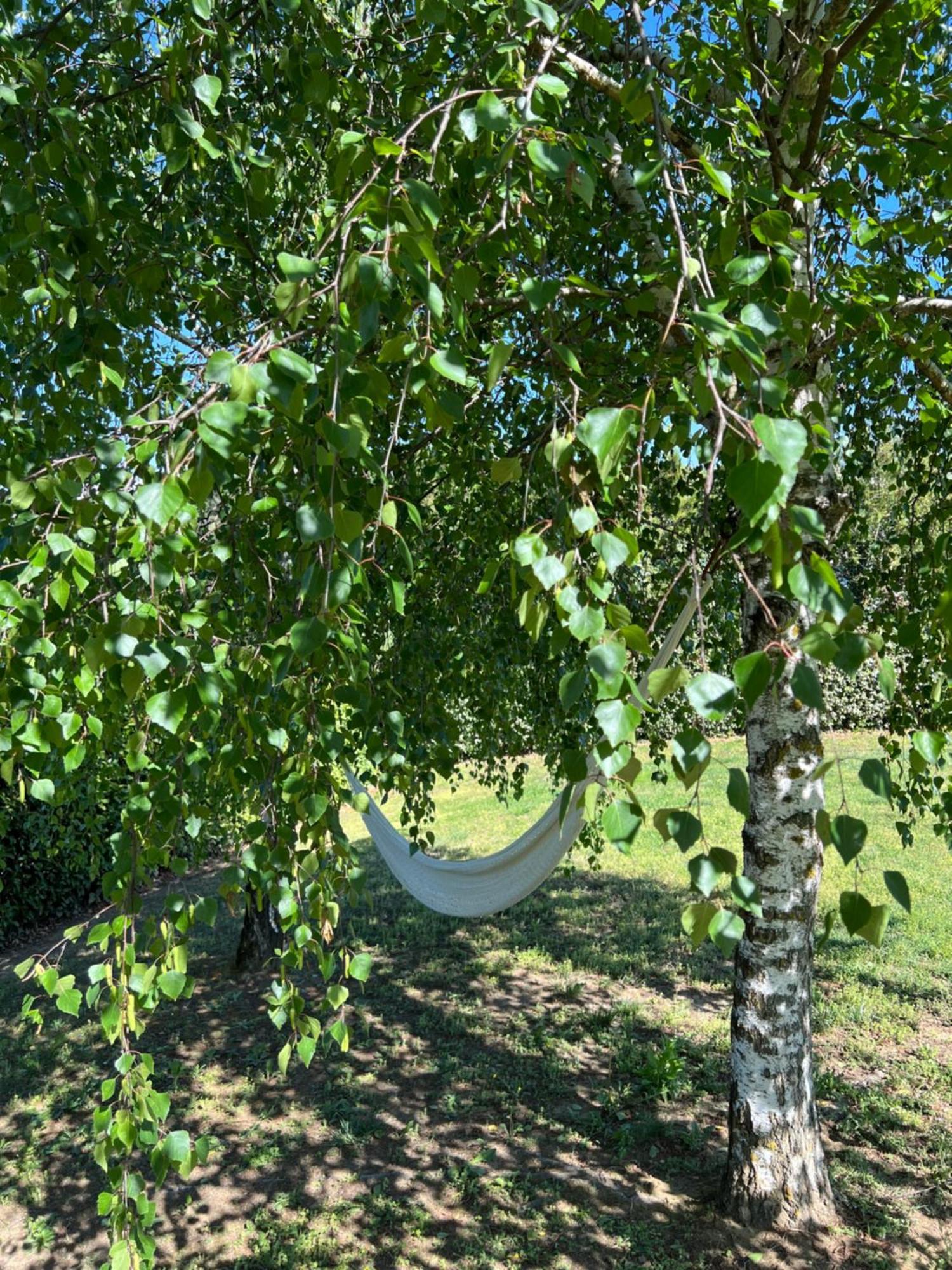 Cascina Il Volo Bed & Breakfast Moncalvo Luaran gambar